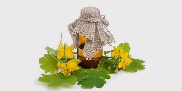 Aceite de celidonia para o pé de atleta